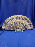 Two tone taco clutch , 2 per pack, 3879,